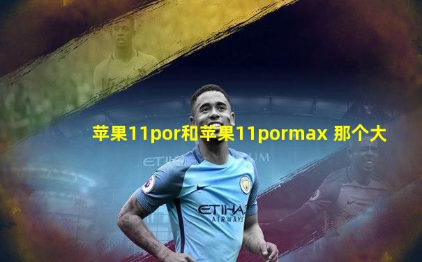 苹果11por和苹果11pormax 那个大